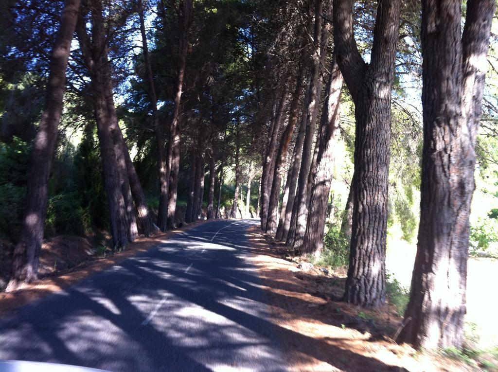 El Salat, Rurales